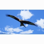 20210402 RM 1 DSC00956.jpg